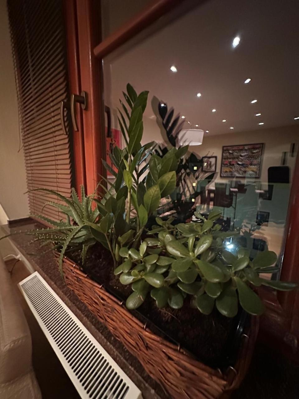 Apartament Josefina Polanica-Zdrój Zewnętrze zdjęcie
